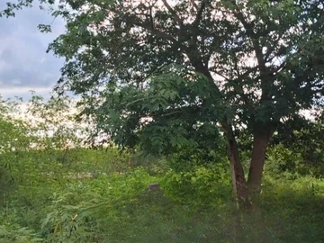Residential Land