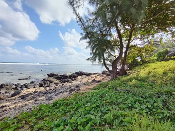 Residential Land