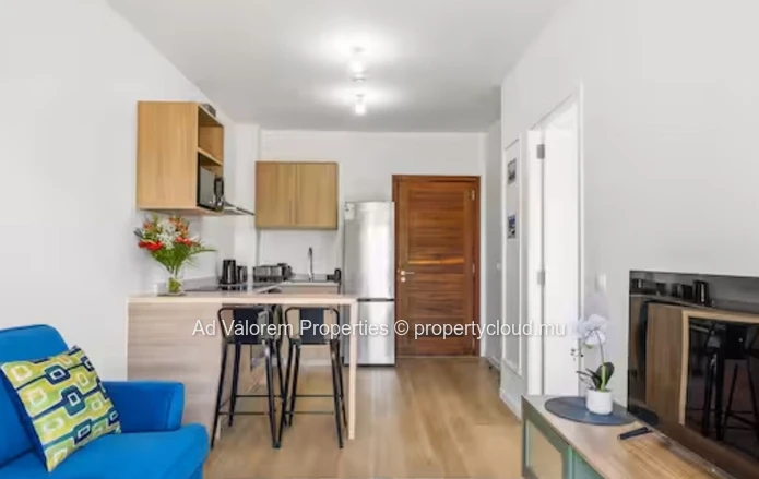 1 bedroom apartment for rent in Tamarin (Sole Mandate)