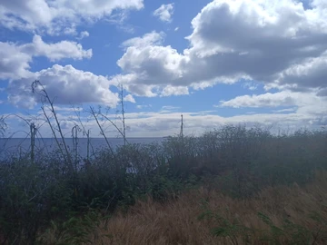 Residential Land