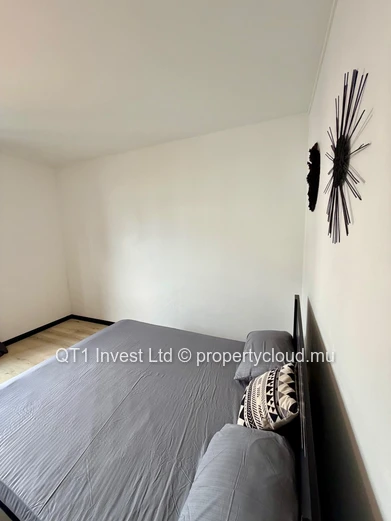 Duplex Moderne – Pointe Aux Cannonier 