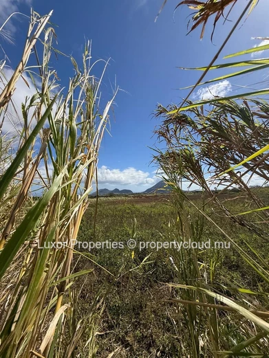 AGRICULTURAL LAND FOR SALE – Vacoas La Caverne