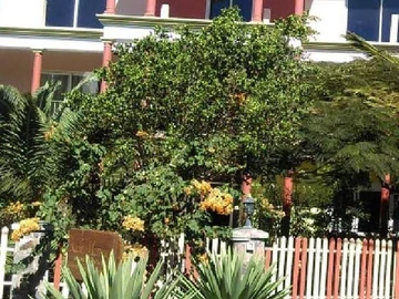 Villa for sale in Pointe Coton (Rodrigues)
