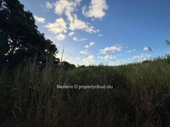 Terrain agricole de première qualité à vendre – 1 729,80 m² à Mare d'Albert