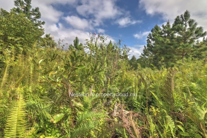 Exceptional residential plot 