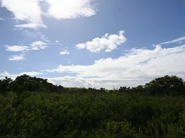Terrain Agricole
