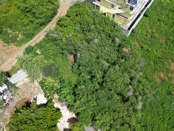 Commercial Land