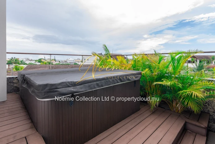 A vendre Penthouse D'exception à Choisy Les Bains -avec Jacuzzi Privatif