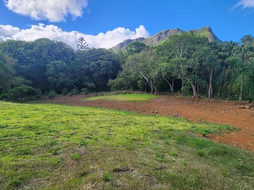 Land