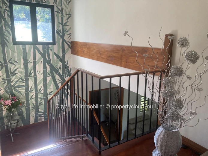Villa Contemporaine de Luxe à Vendre à Rivière Noire, Île Maurice
