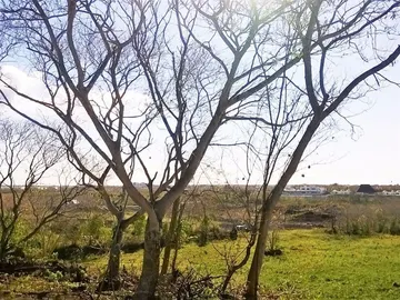 Terrain Agricole