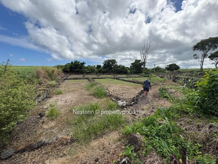 Terrain agricole de 30 perches bien entretenu et bien situé