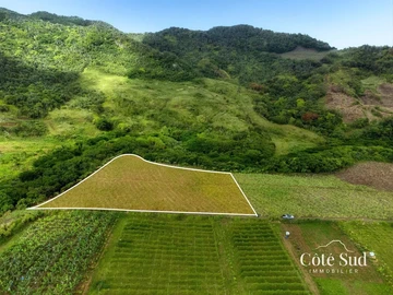 Agricultural Land