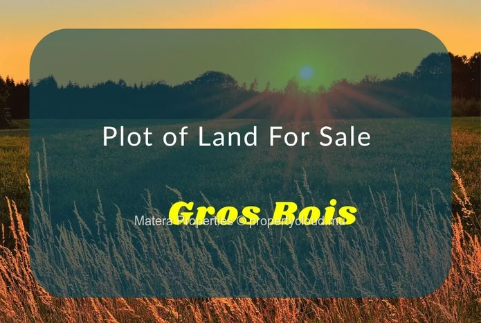 Terrain résidentiel de 20 000 m² à vendre à Gros Bois