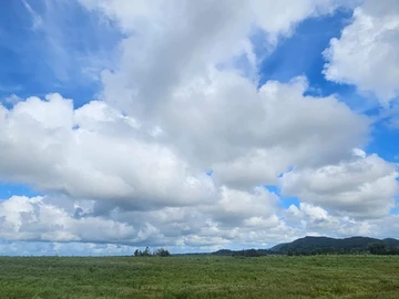 Agricultural Land