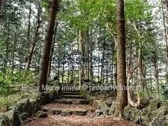 Terrain de 3 778 m² à vendre à proximité de la Forêt Daruty