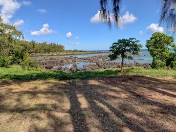 Commercial Land