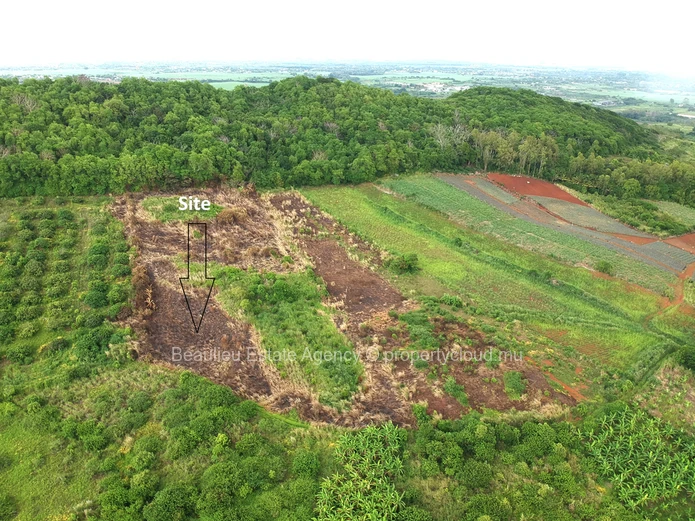 Agricultural Land for Sale in Congomah Beau245038