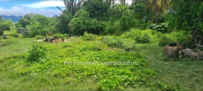 Terrain à vendre à Baie Du Tombeau - Bonne opportunité