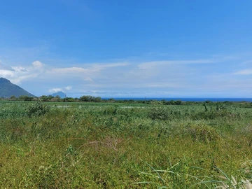 Residential Land