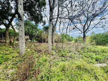 Terrain Agricole