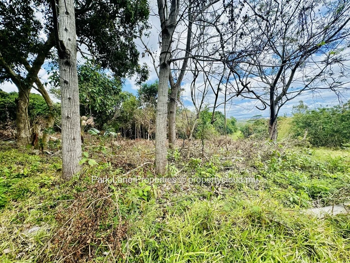 Land for sale in Moka's natural environment