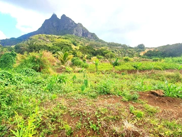 Hillside Agricultural Land for Sale – Shrimati Indira Gandhi Street, Crève Coeur