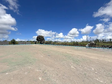 Land