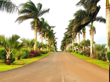 Residential Land