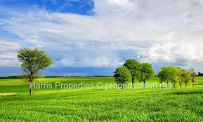 Residential land for sale in Riviere Noire - close to Balise Marina