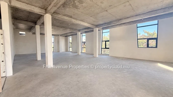 Tamarin – 300 M² Commercial Space