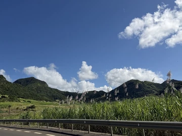Agricultural Land