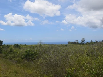 Agricultural Land