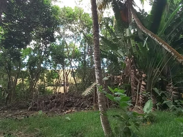 Terrain Commercial