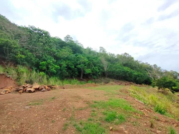 Terrain Agricole