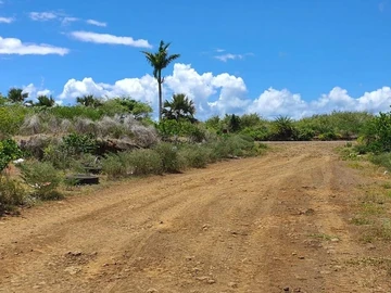 Agricultural Land