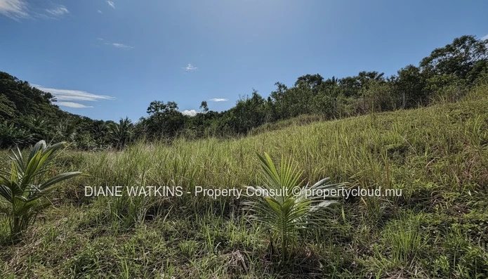 Domaine agricole extraordinaire en bord de rivière | 17 224 m² (1,7 hectare) | Potentiel écotouristique infini