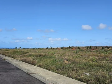 Residential Land