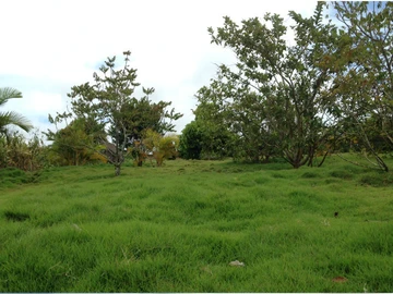 Terrain Résidentiel