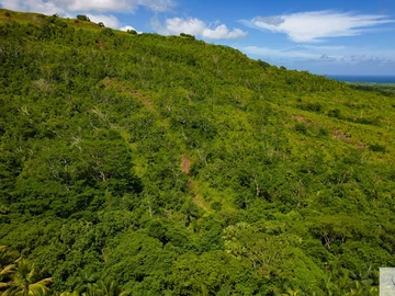 Terrain Agricole
