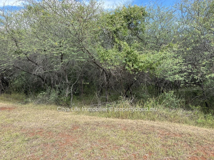 Terrain à vendre — Black River | Domaine de Palmyre | 2 124 m² | Rs