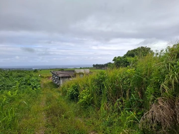 Terrain Agricole