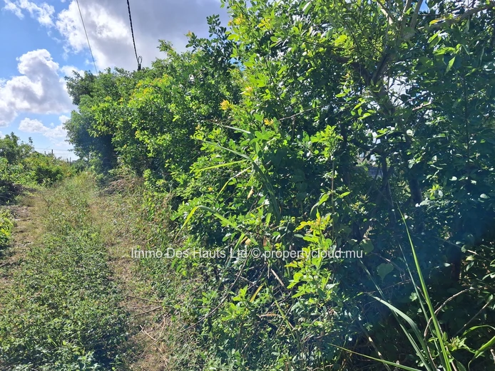 Residential Land for sale la Marie Vacoas 