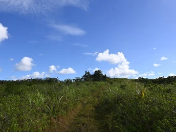 Terrain Agricole