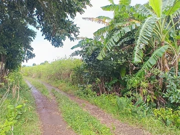 Terrain Agricole