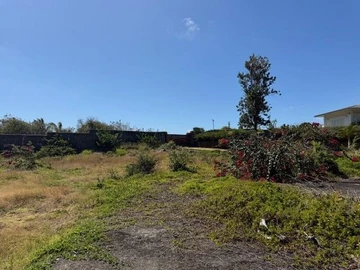 Terrain