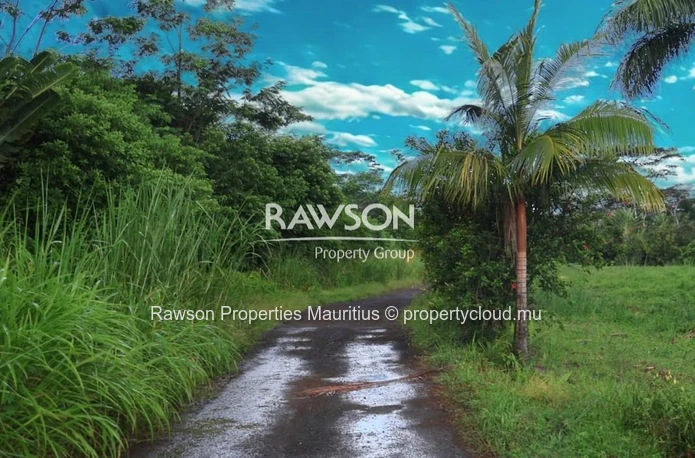Agricultural Land in Chamarel – A Peaceful Green Haven