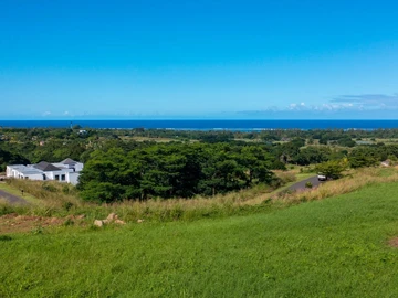 Commercial Land