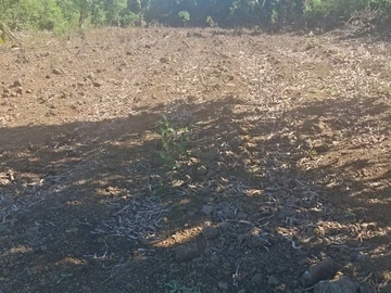 Residential Land