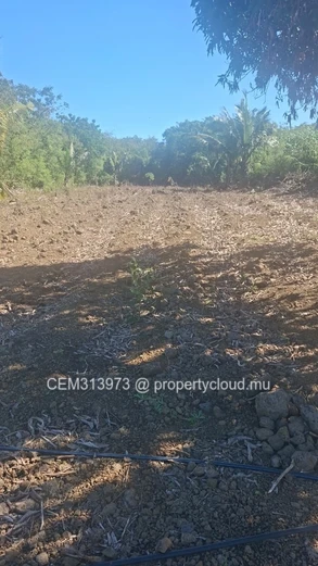 25 Perches Residential Land for Sale – Cap Malheureux